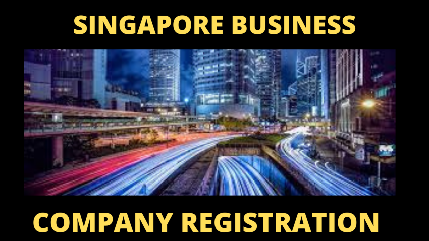 Types of Possible Company Registration in Singapore