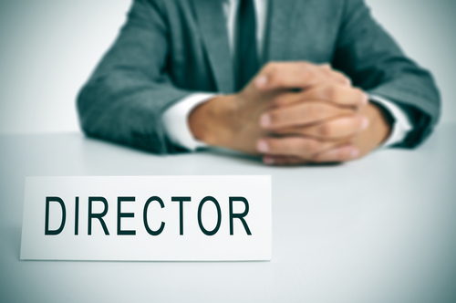 director of company